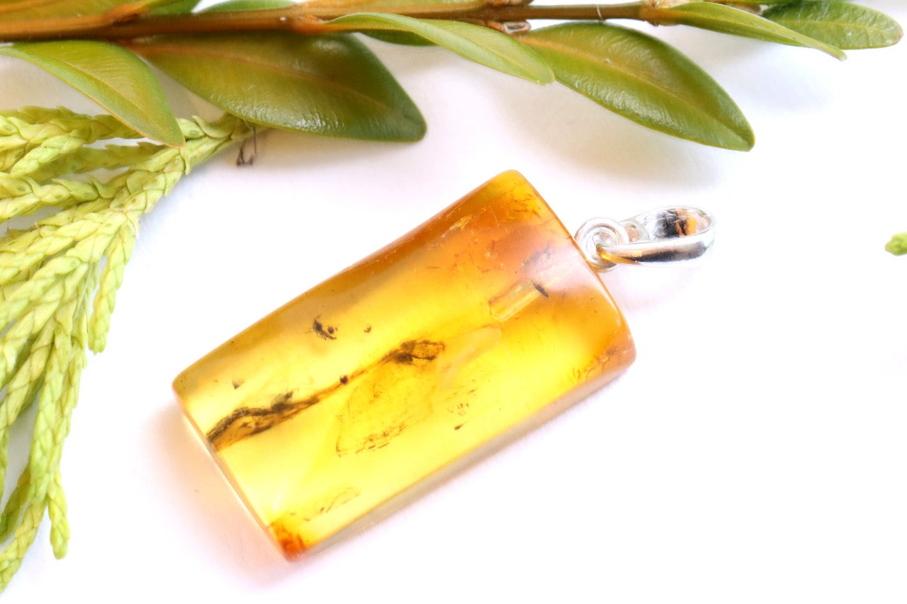 Genuine Baltic Amber Pendant with Insect