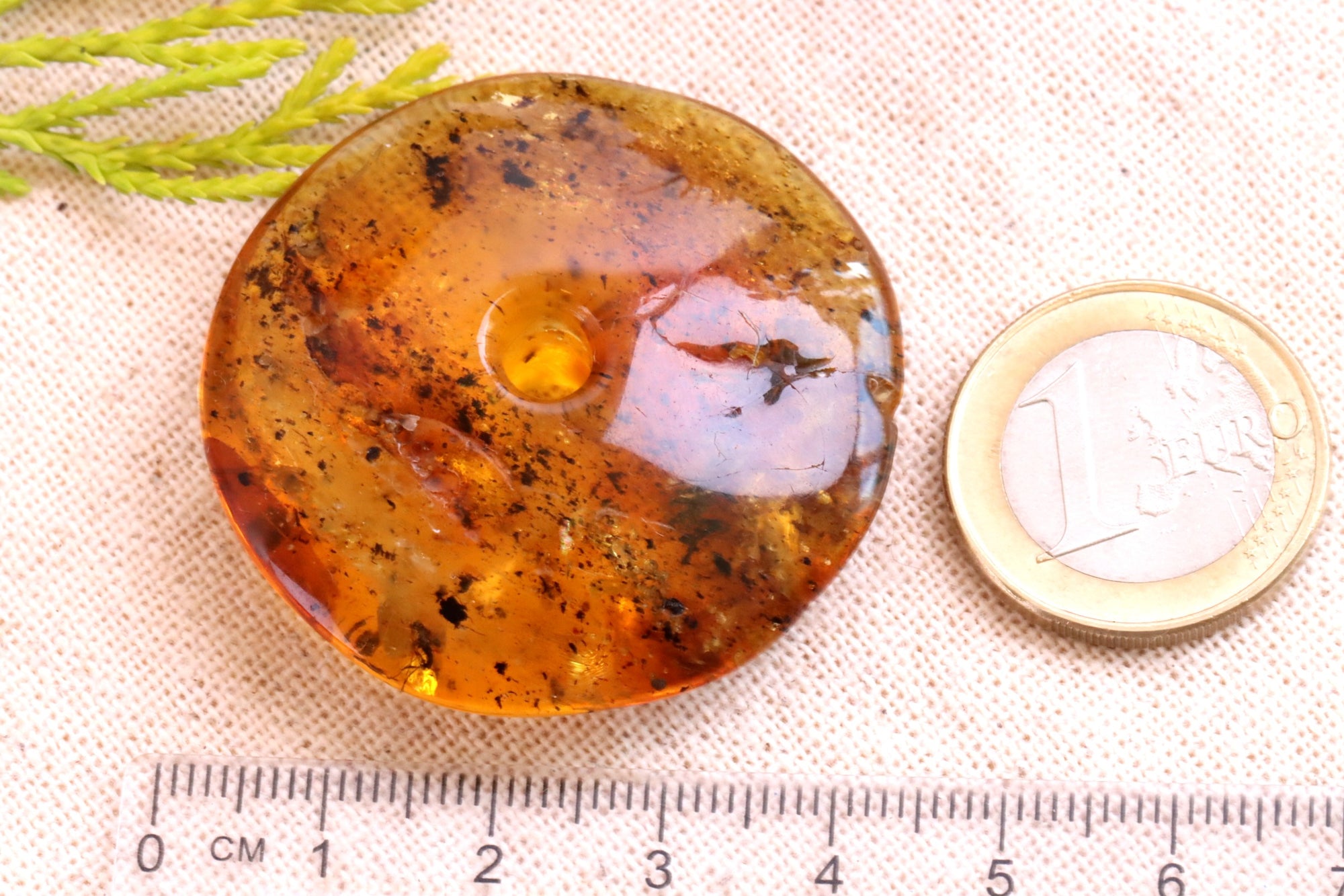 Unique Insects in Baltic Amber Amulet