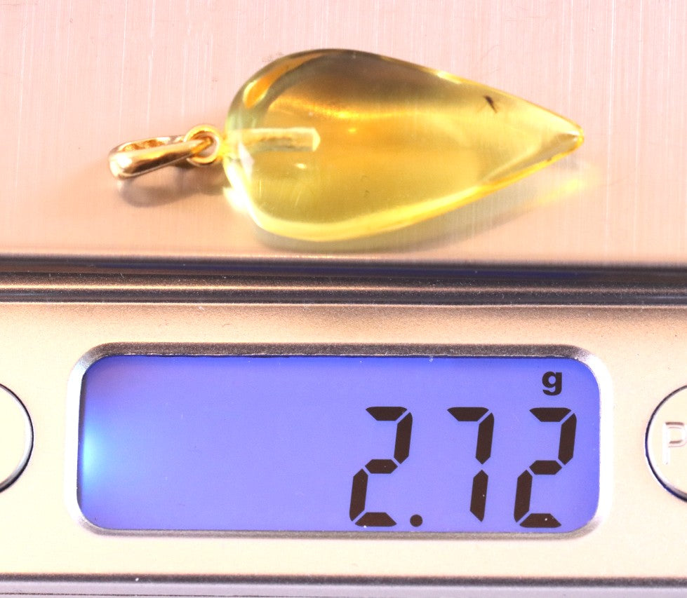Clear Baltic Amber Pendant with Visible Insect Inclusion | Gold-Plated Jewellery