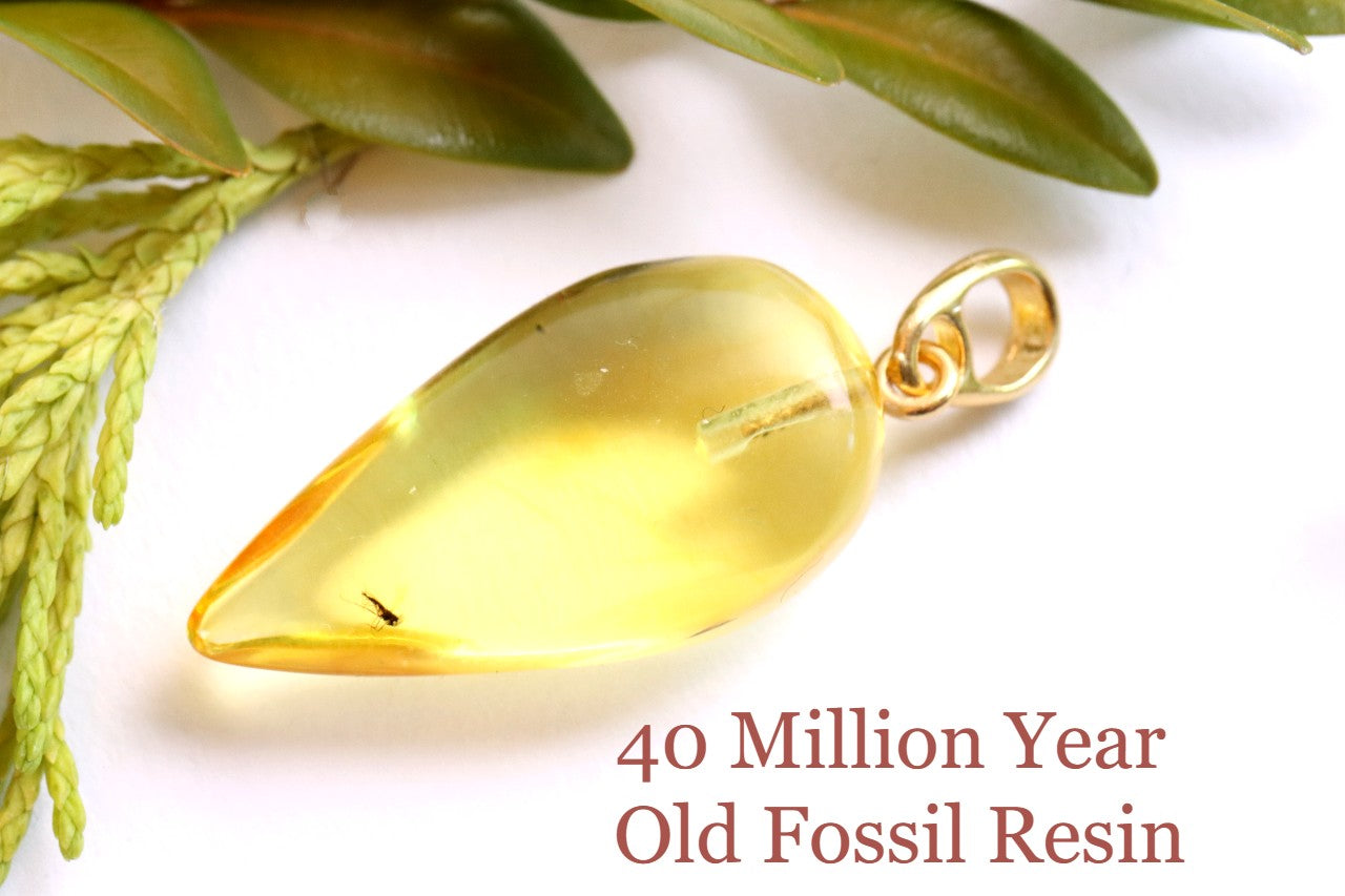 Clear Baltic Amber Pendant with Visible Insect Inclusion | Gold-Plated Jewellery