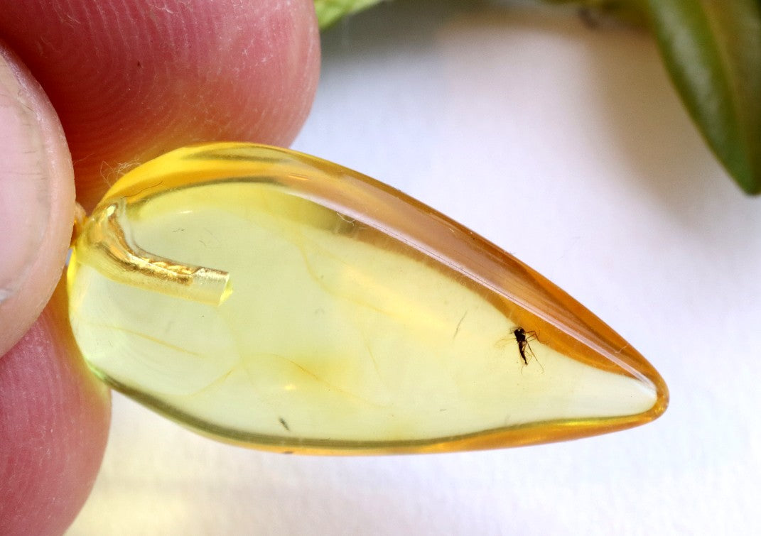 Clear Baltic Amber Pendant with Visible Insect Inclusion | Gold-Plated Jewellery