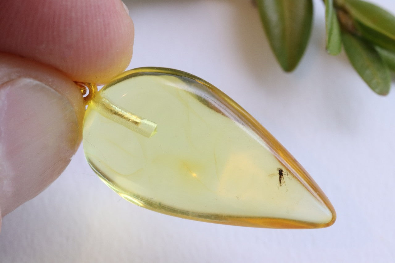 Clear Baltic Amber Pendant with Visible Insect Inclusion | Gold-Plated Jewellery