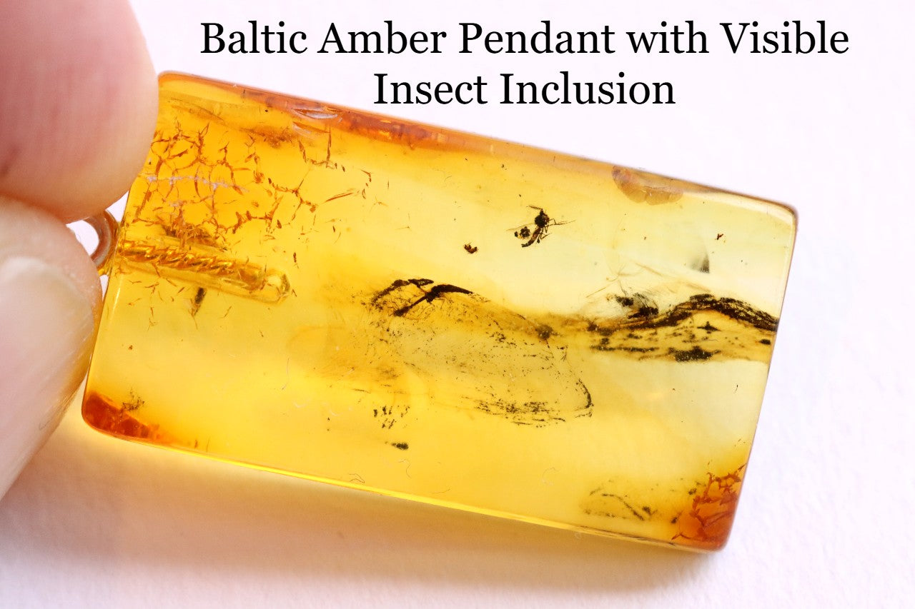 Genuine Baltic Amber Pendant with Insect
