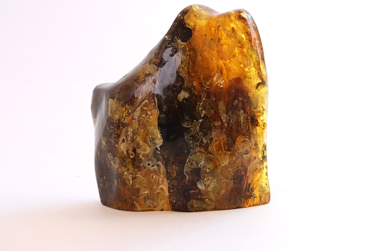 Large 329g Baltic Amber Gem with Insects