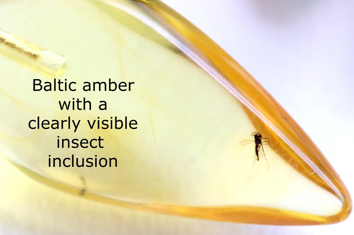 Clear Baltic Amber Pendant with Visible Insect Inclusion | Gold-Plated Jewellery