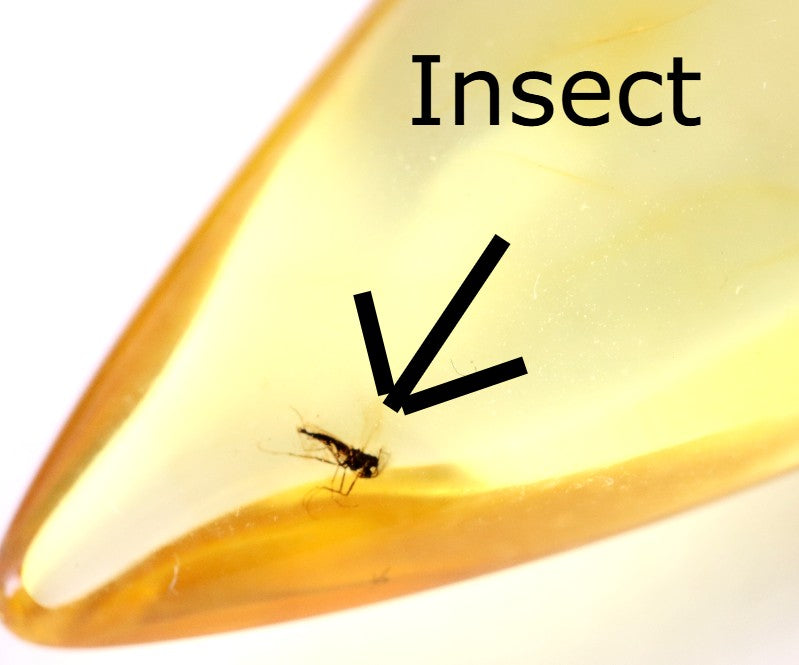 Clear Baltic Amber Pendant with Visible Insect Inclusion | Gold-Plated Jewellery