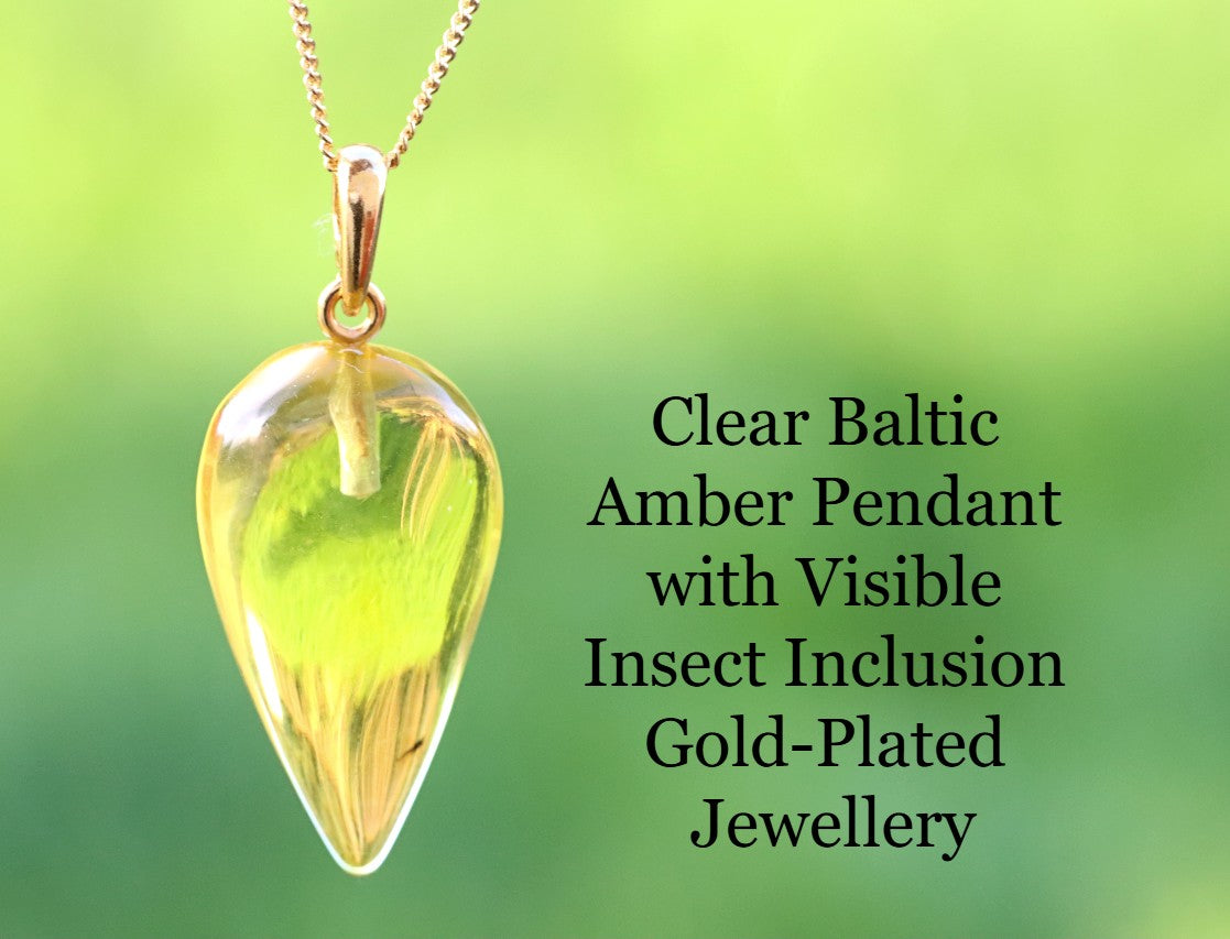 Clear Baltic Amber Pendant with Visible Insect Inclusion | Gold-Plated Jewellery