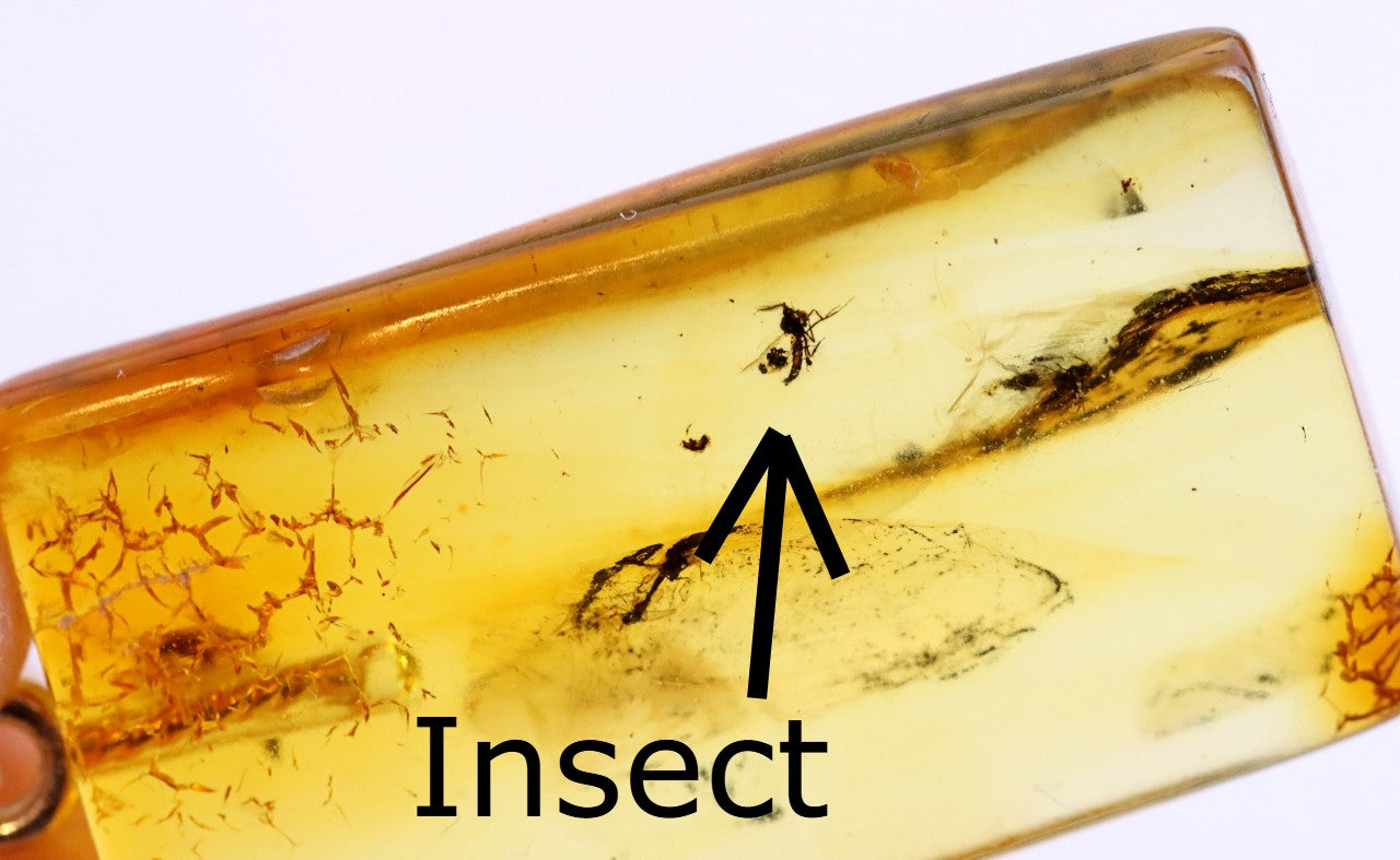 Genuine Baltic Amber Pendant with Insect