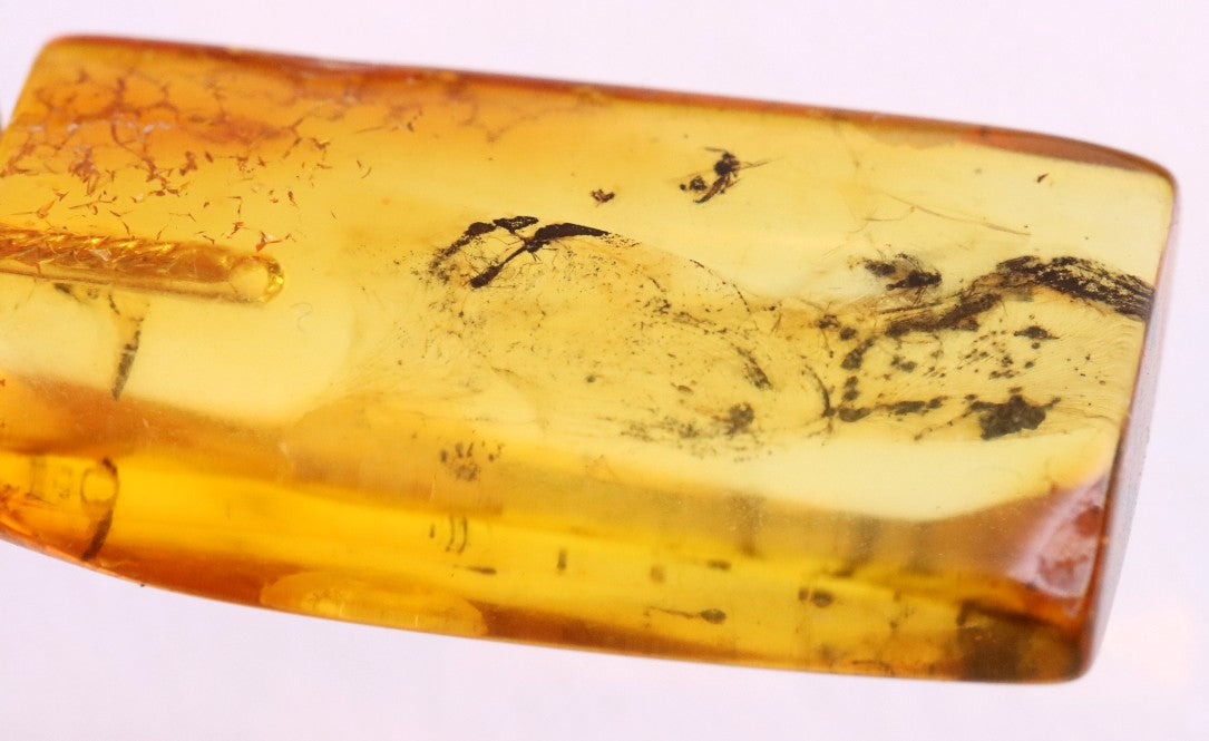 Genuine Baltic Amber Pendant with Insect