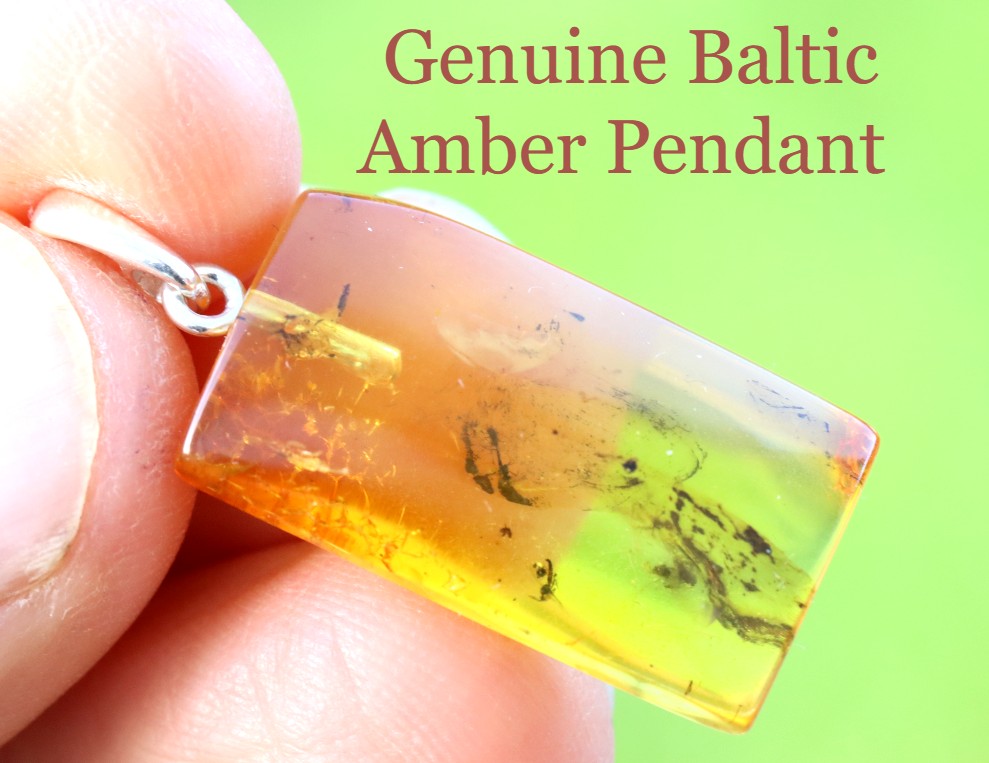 Genuine Baltic Amber Pendant with Insect