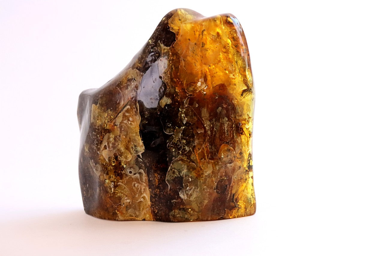 Large 329g Baltic Amber Gem with Insects