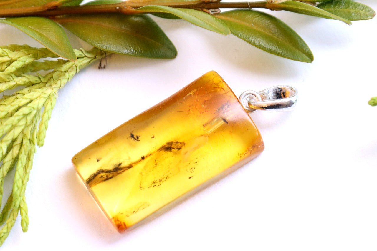 Genuine Baltic Amber Pendant with Insect