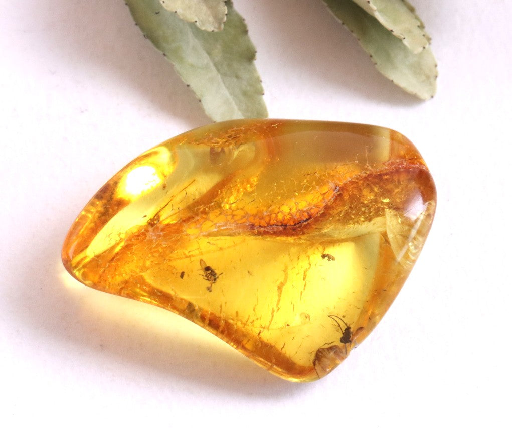 Inclusions Jurassic Amber collectible