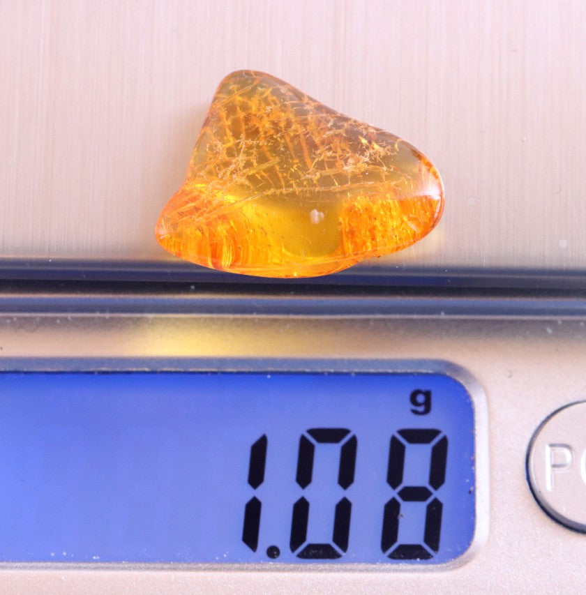 Inclusions Jurassic Amber collectible (Copy)