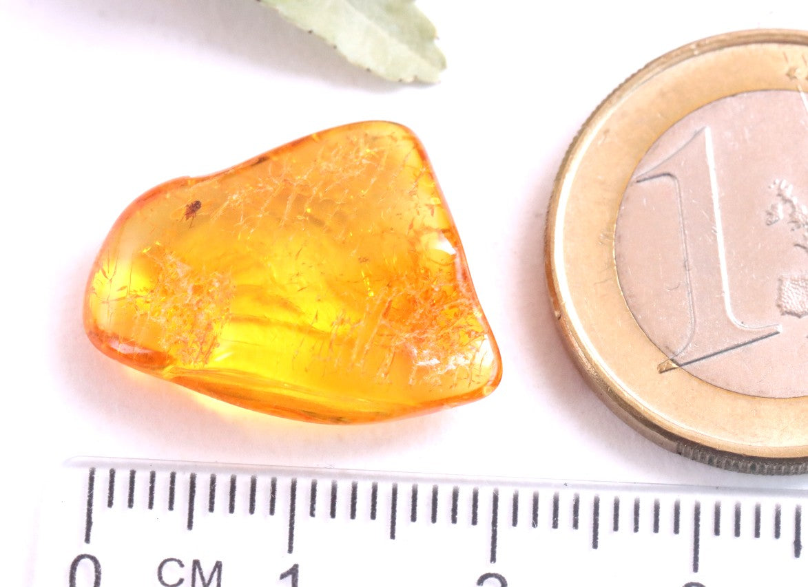 Inclusions Jurassic Amber collectible (Copy)