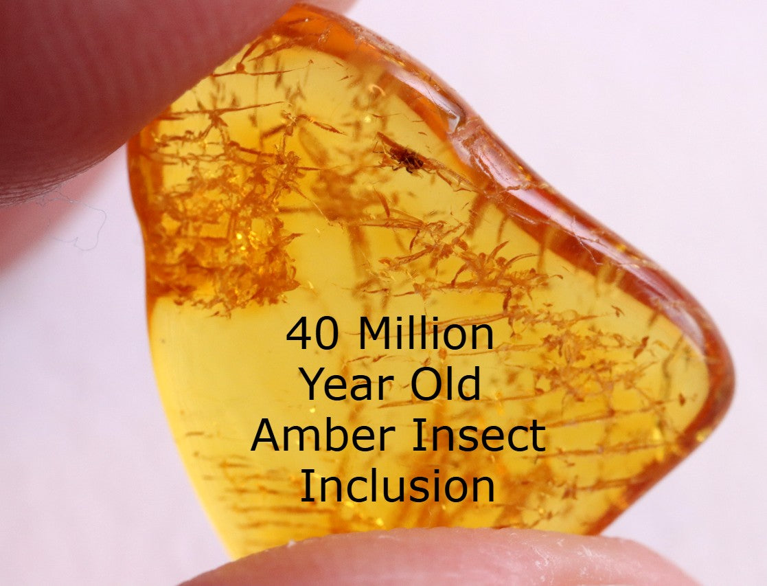 Inclusions Jurassic Amber collectible (Copy)