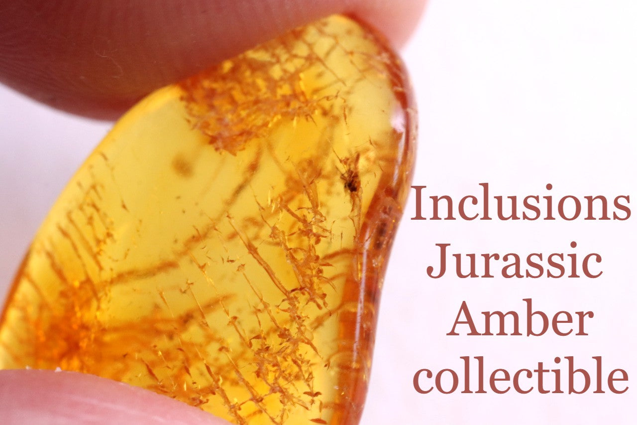 Inclusions Jurassic Amber collectible (Copy)