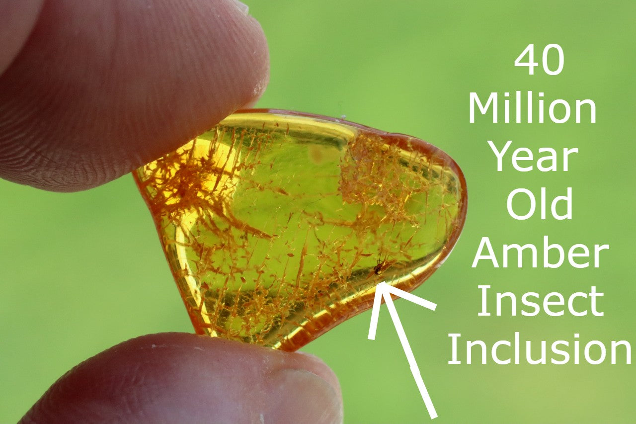 Inclusions Jurassic Amber collectible (Copy)