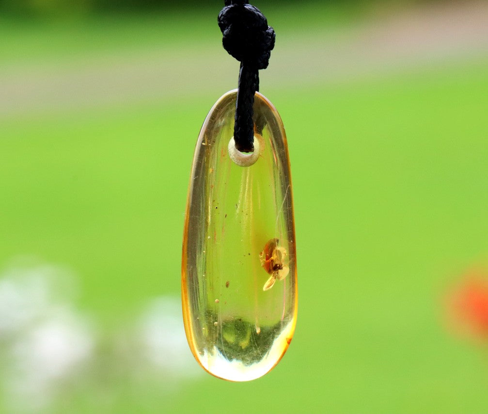 Baltic Amber Amulet Pendant with Insect Inclusion
