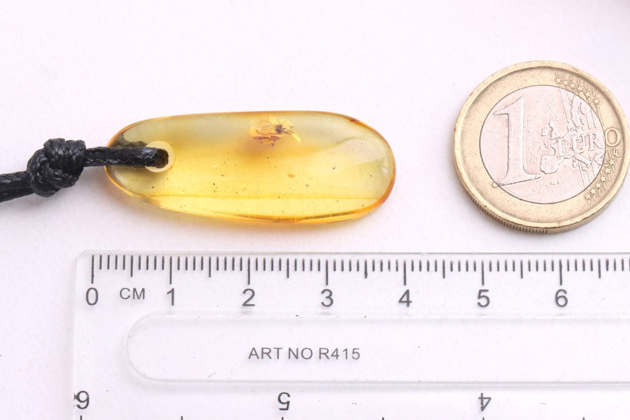 Baltic Amber Amulet Pendant with Insect Inclusion