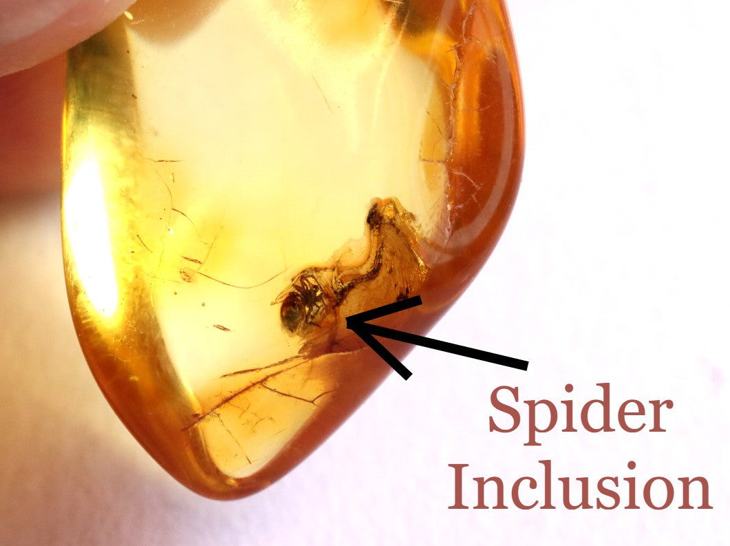 Amber Spider Inclusion