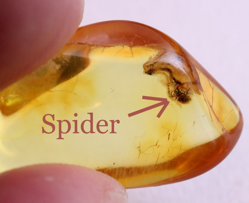 Amber Spider Inclusion