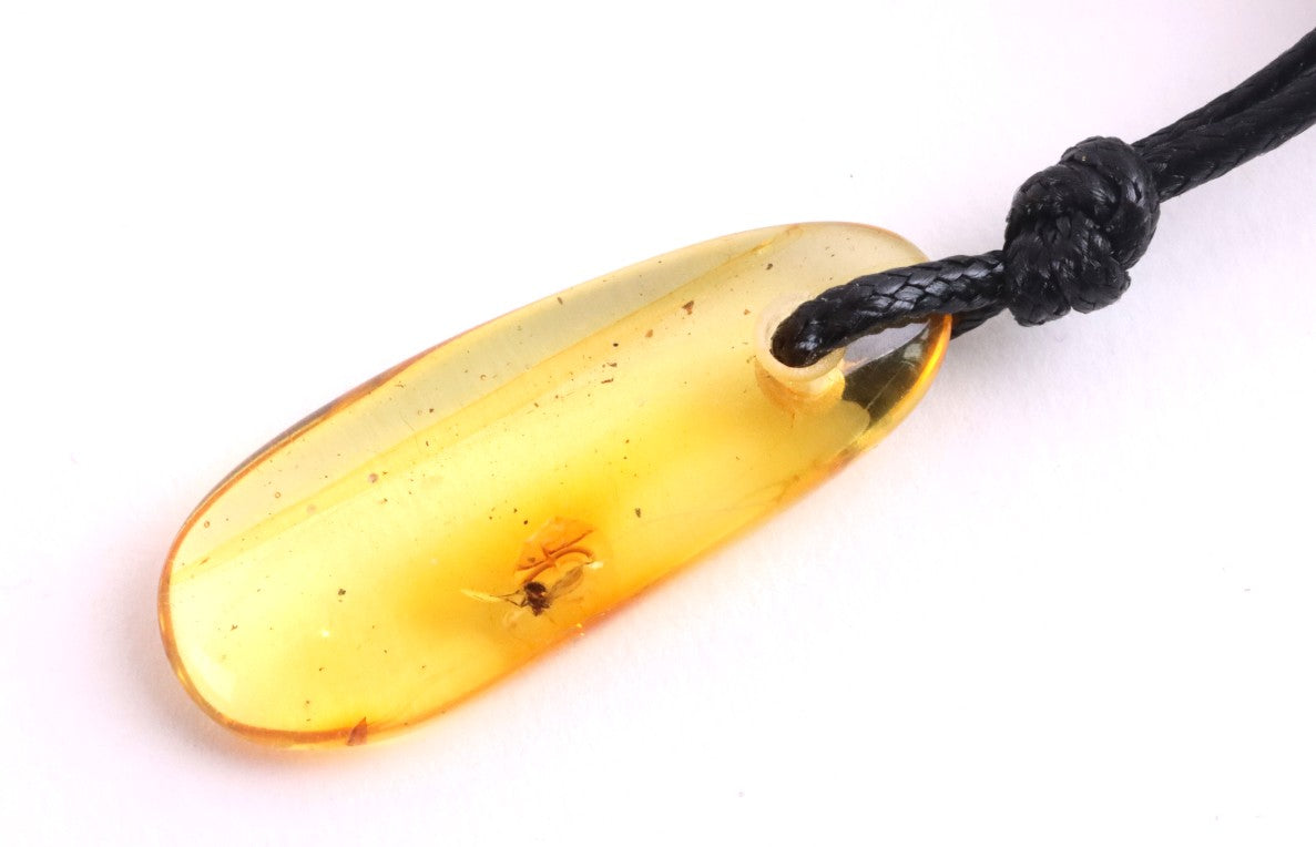 Baltic Amber Amulet Pendant with Insect Inclusion