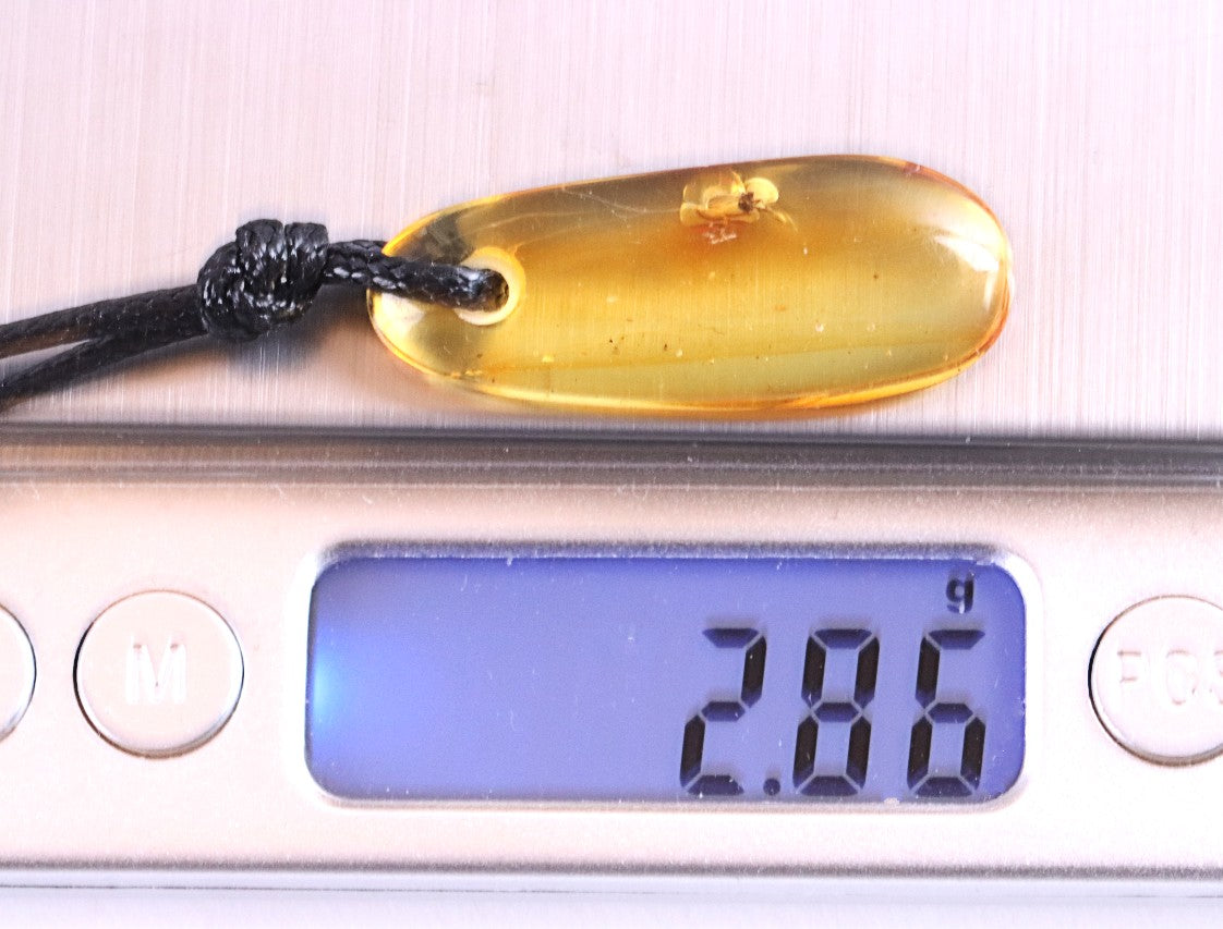 Baltic Amber Amulet Pendant with Insect Inclusion