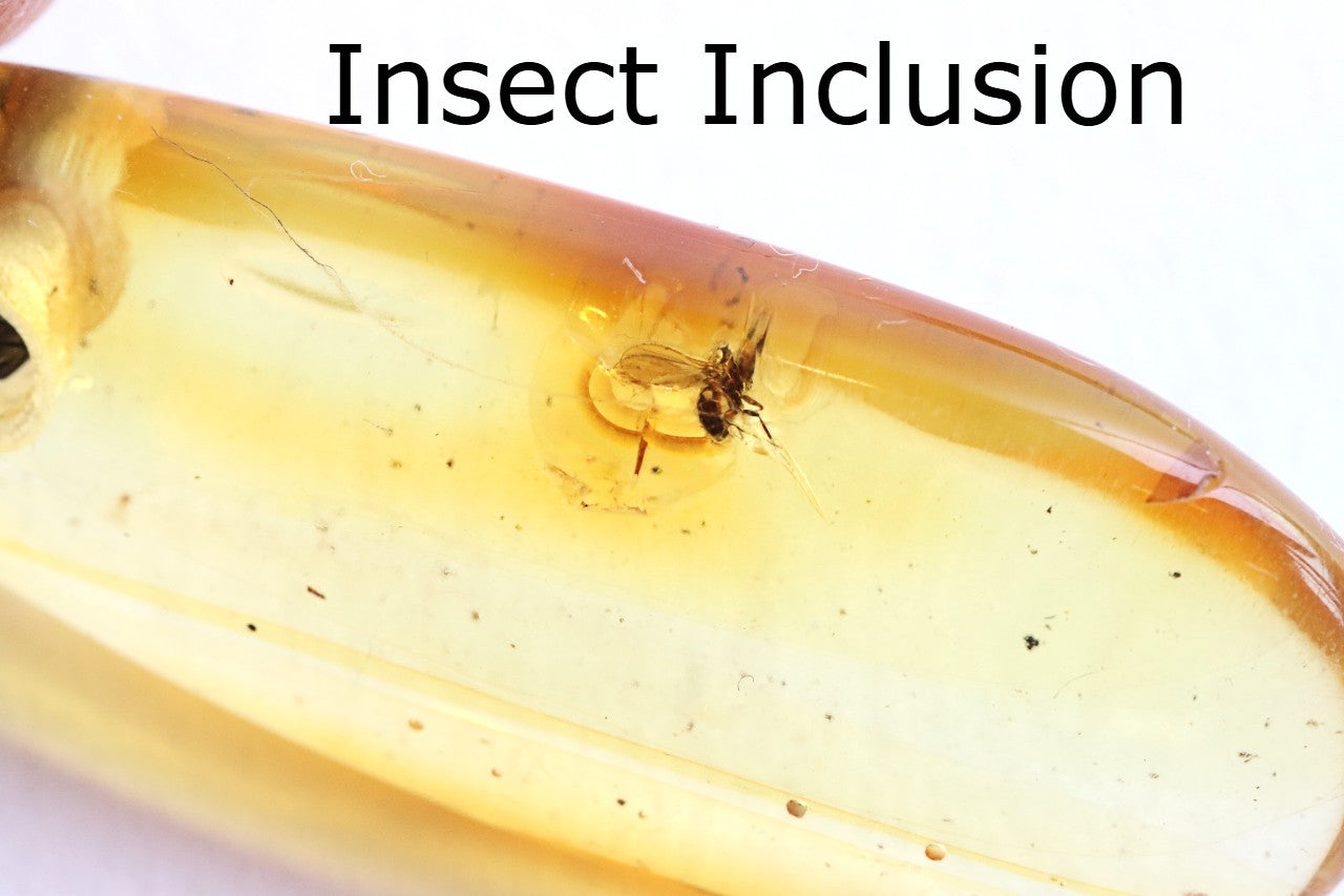 Baltic Amber Amulet Pendant with Insect Inclusion