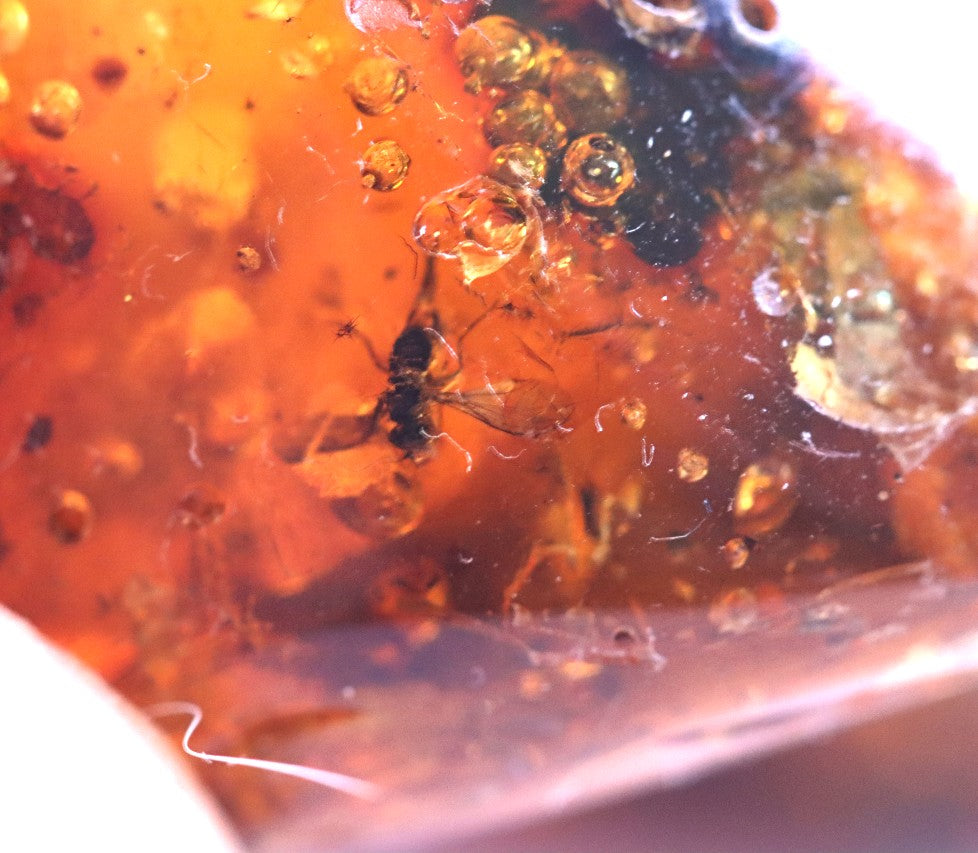 Unique Piece Of Amber With Air Bubbles and 2 X Insect Inclusions