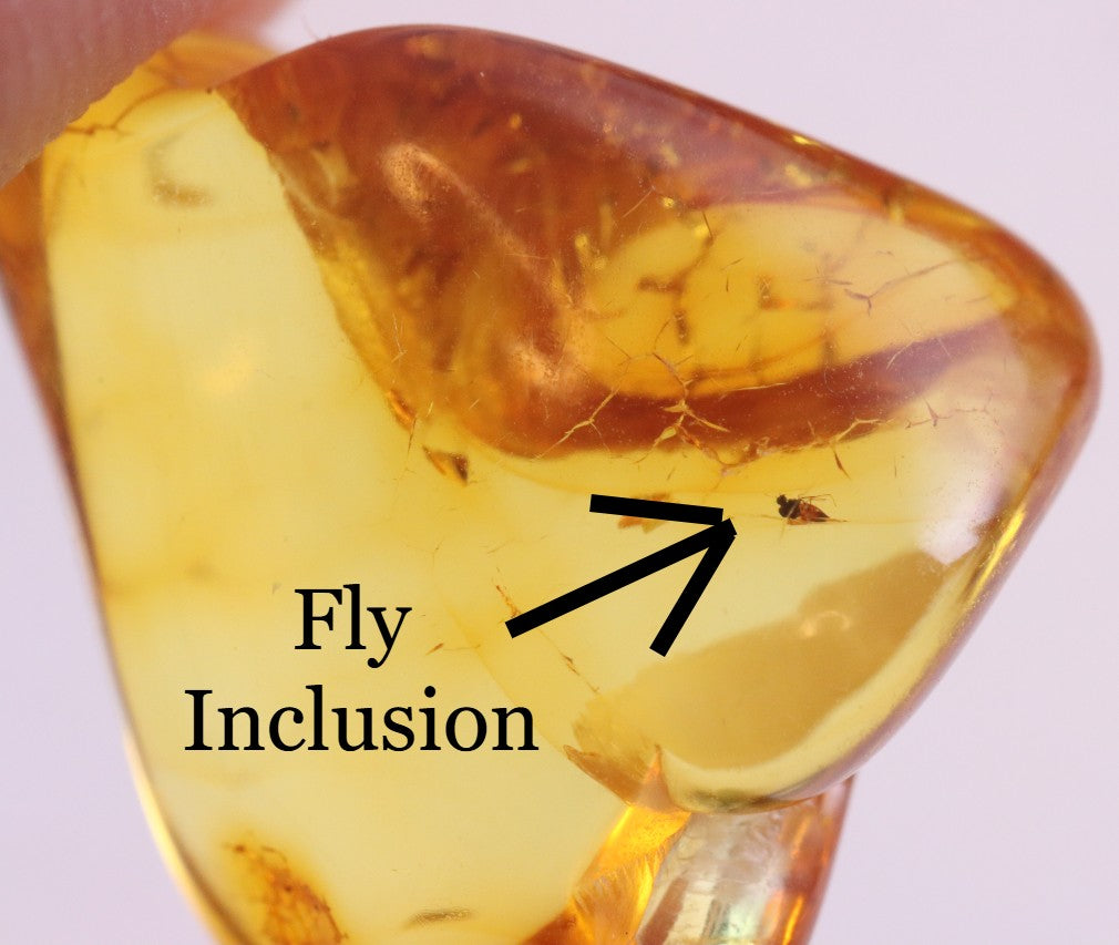 Affordable 40 Million Year Old Amber Insect Inclusion