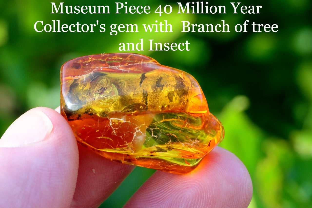 40 Million Year Collector's gem with  Branch of tree and 2 X  Insects