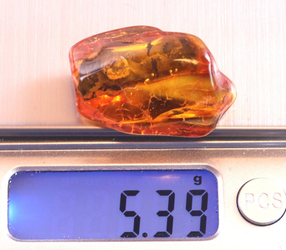 40 Million Year Collector's gem with  Branch of tree and 2 X  Insects