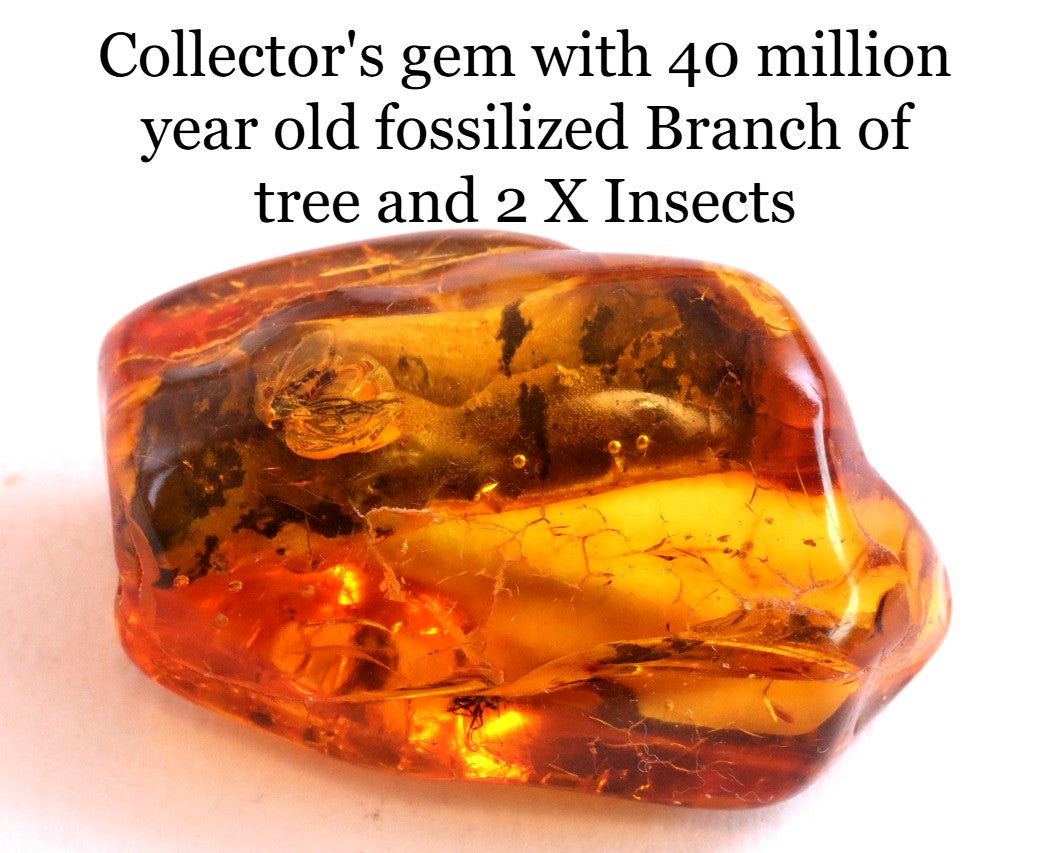 40 Million Year Collector's gem with  Branch of tree and 2 X  Insects