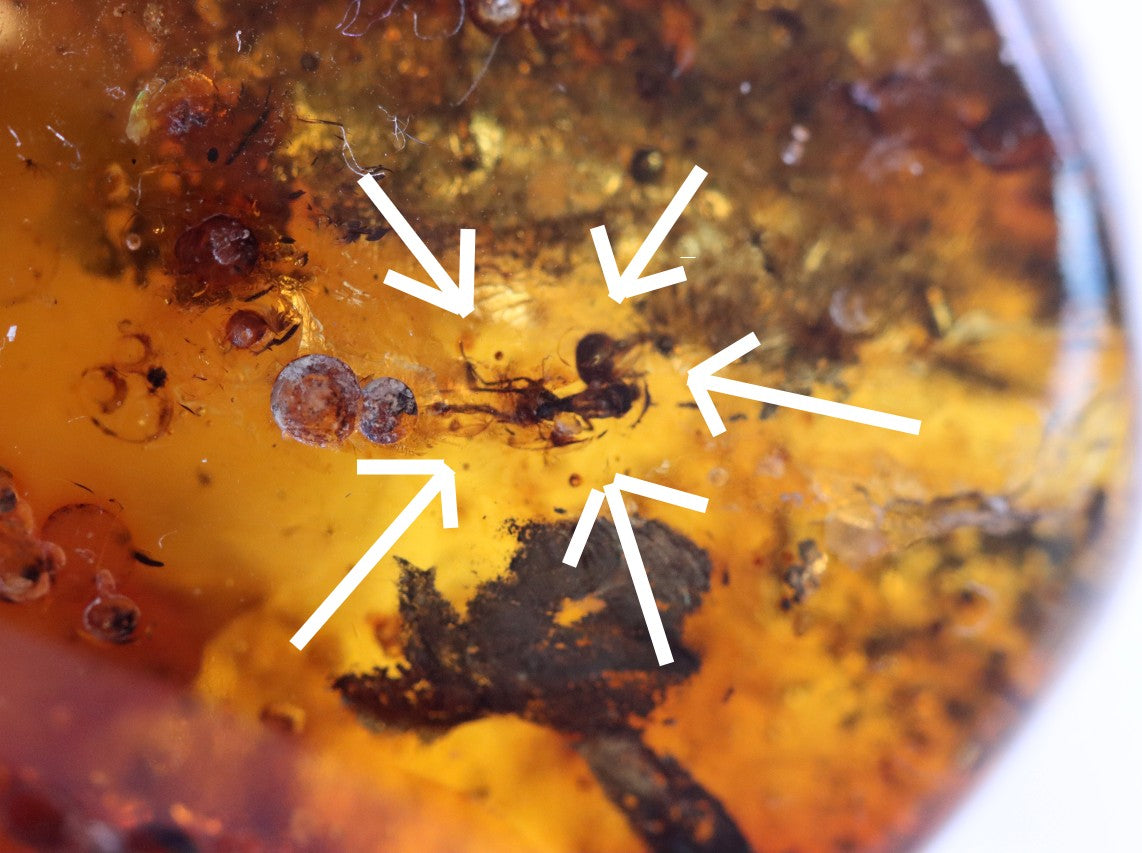 Unique Piece Of Amber With Air Bubbles and 2 X Insect Inclusions