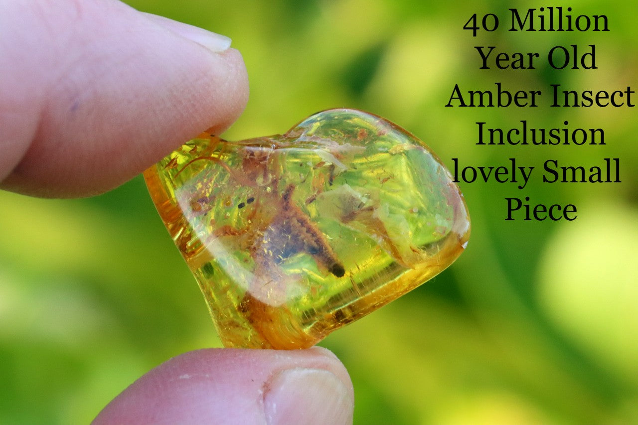 Affordable 40 Million Year Old Amber Insect Inclusion (Copy)