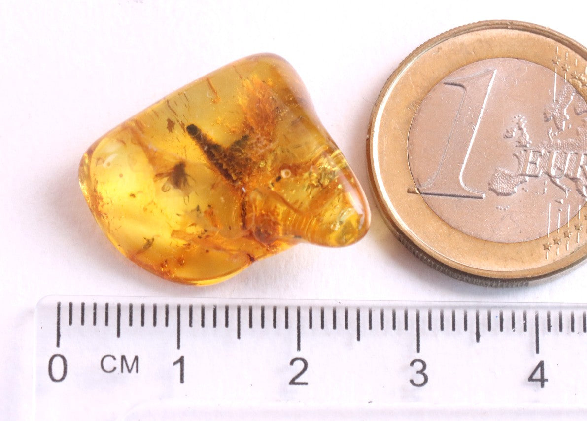 Affordable 40 Million Year Old Amber Insect Inclusion (Copy)