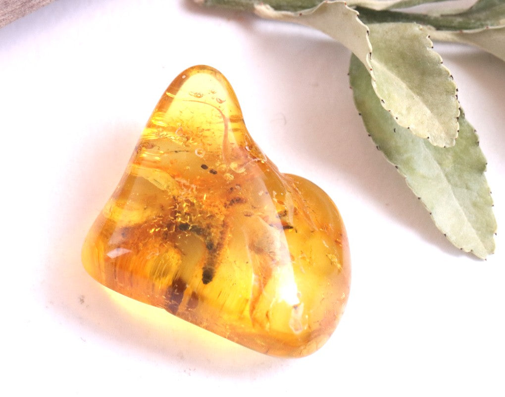 Affordable 40 Million Year Old Amber Insect Inclusion (Copy)