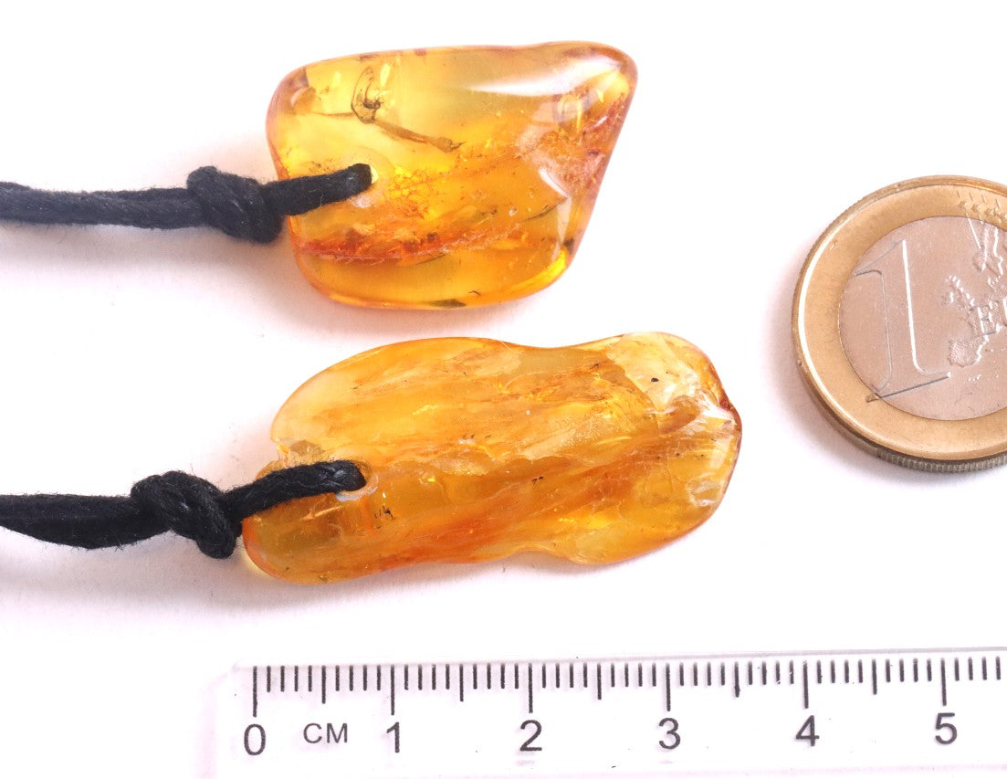 Special Offer 2 X Baltic Amber Amulets With Insects