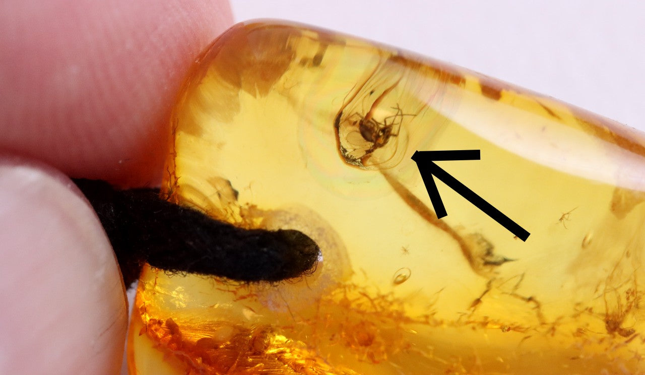 Special Offer 2 X Baltic Amber Amulets With Insects