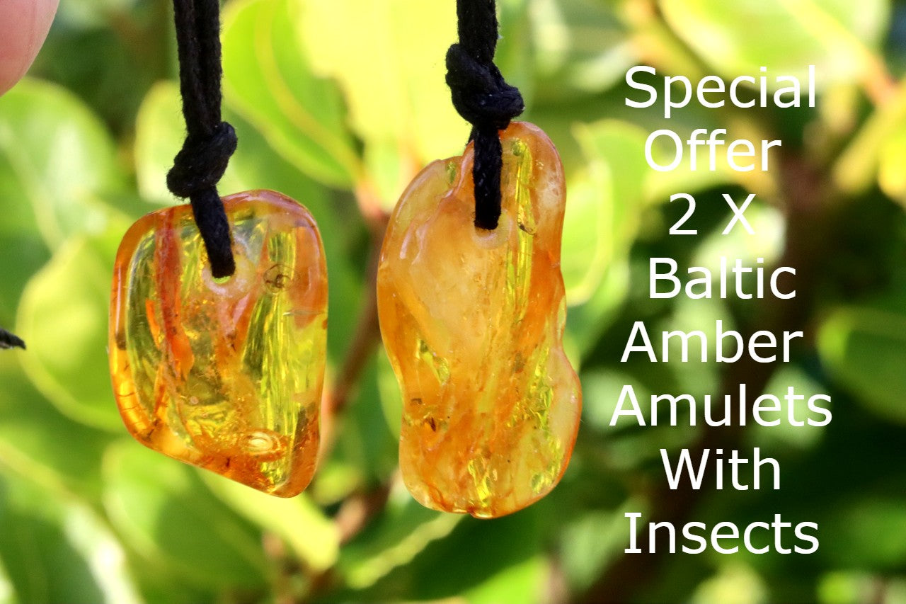 Special Offer 2 X Baltic Amber Amulets With Insects