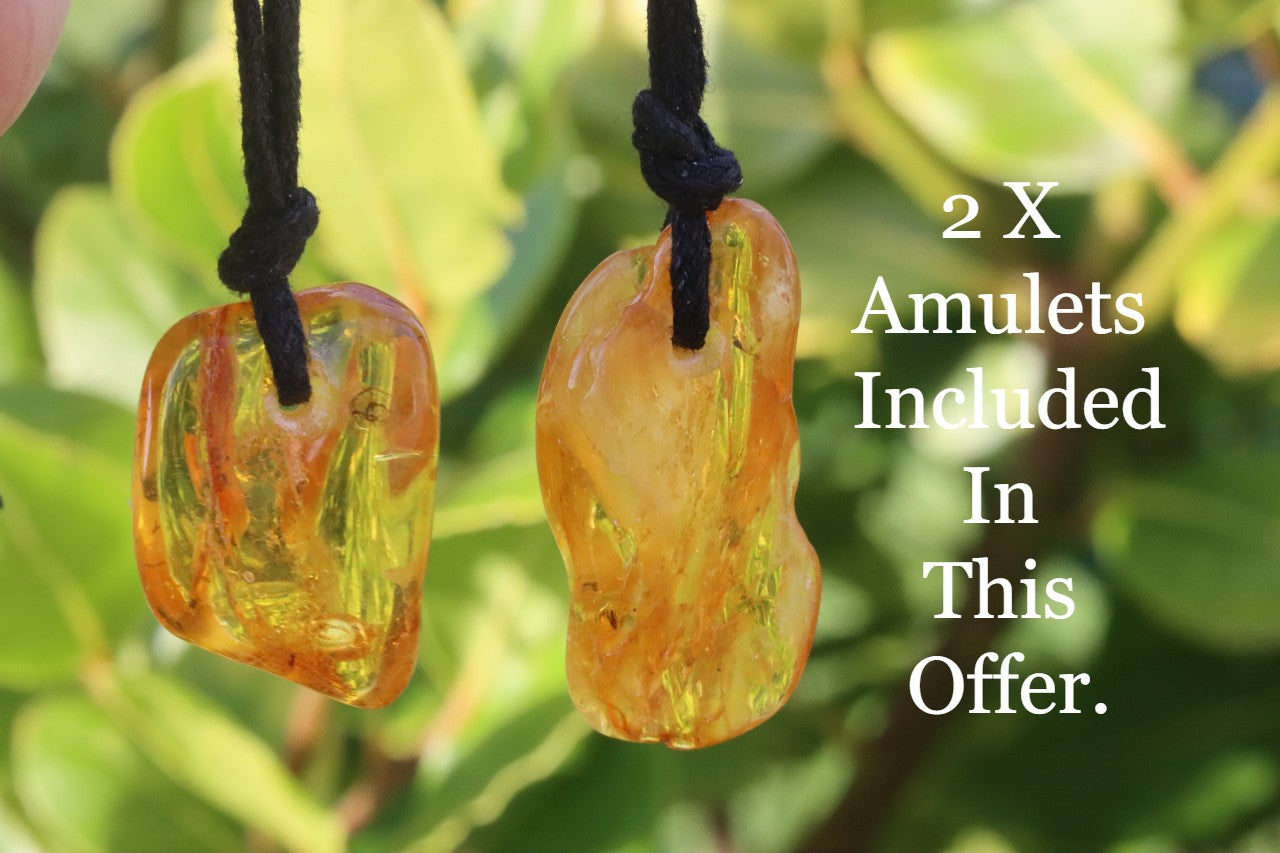 Special Offer 2 X Baltic Amber Amulets With Insects