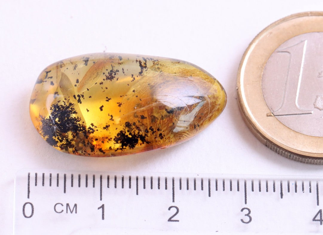 Amber Insect Inclusion