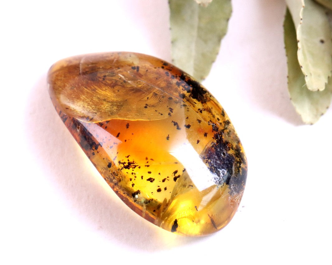 Amber Insect Inclusion