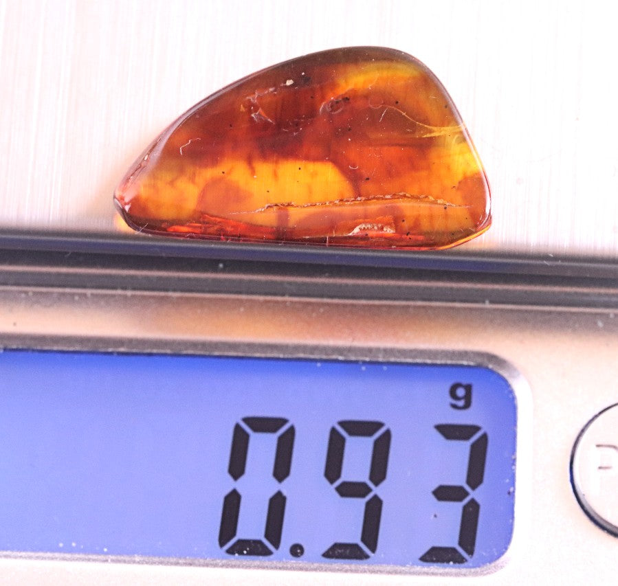 Affordable 40 Million Year Old Amber With 2 Insects