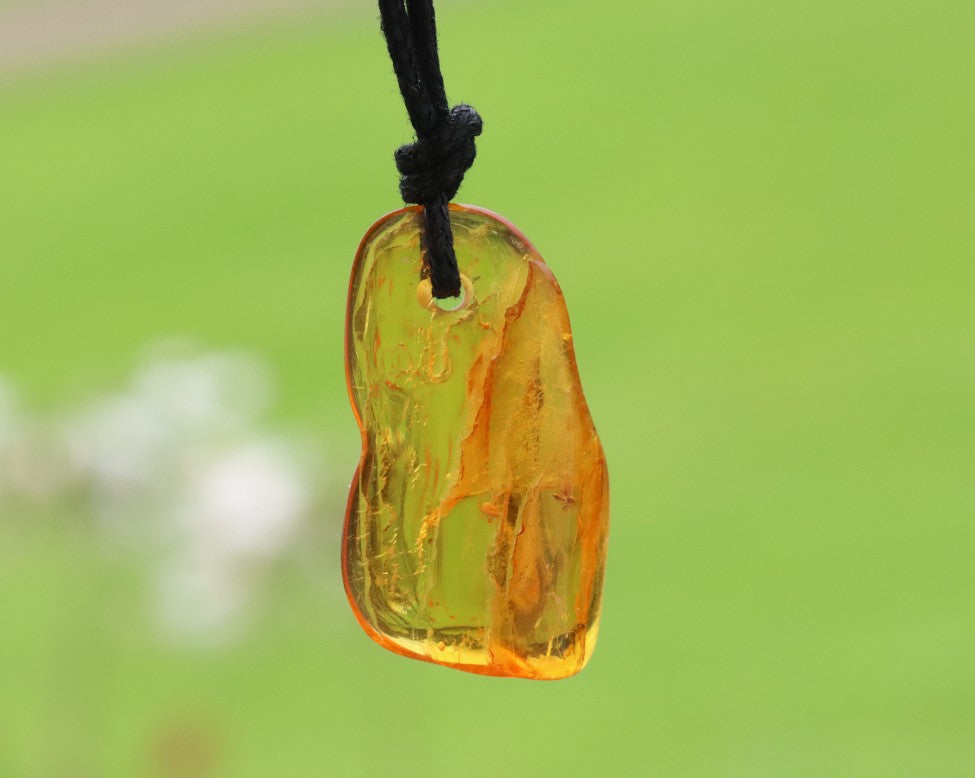 Baltic Amber Amulet with 2 X 40-Million-Year-Old Insect Inclusions