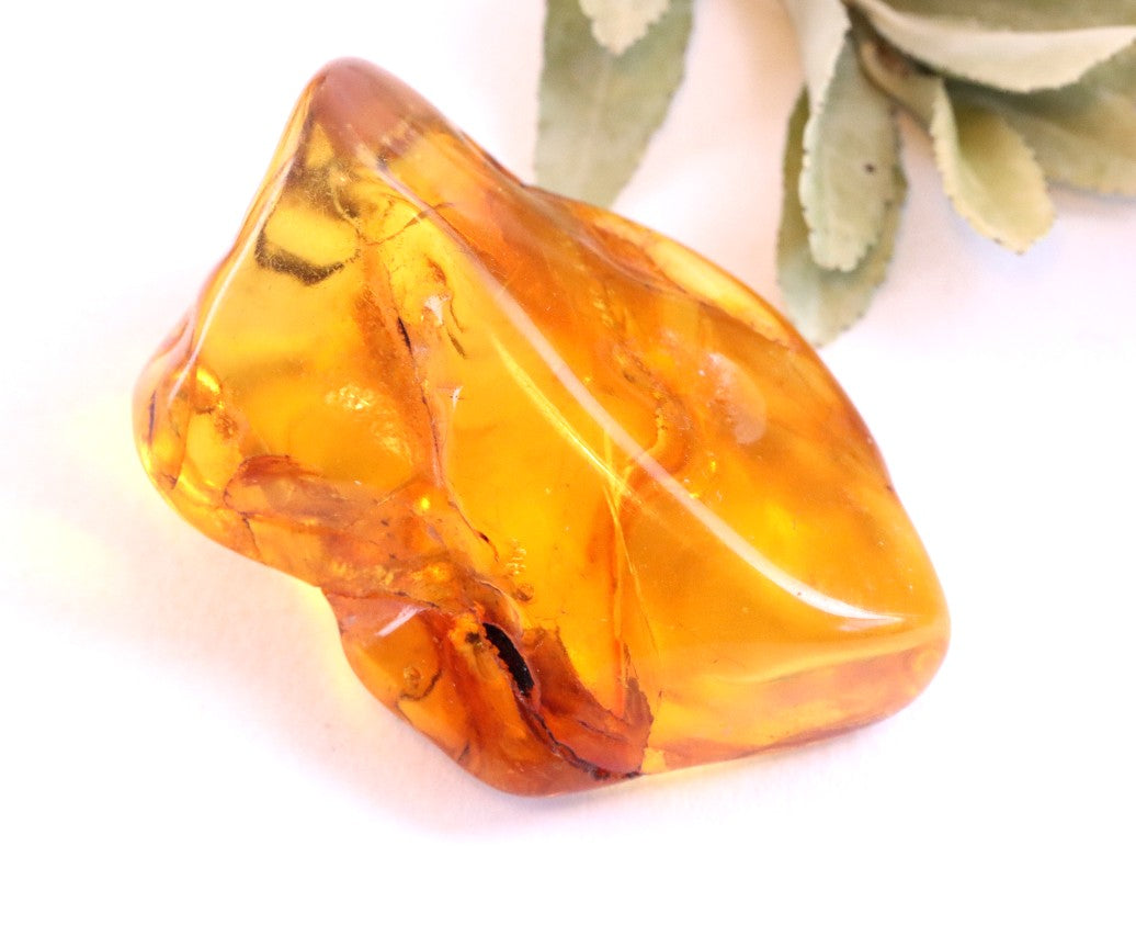 Baltic Amber Museum Collector's gem With Insects Inclusion