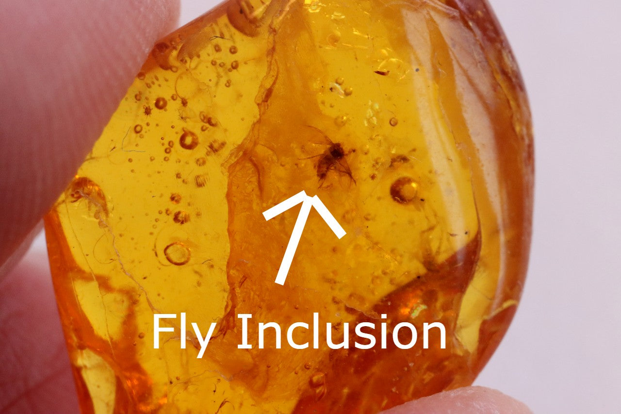 Affordable 40 Million Year Old Amber Fly Inclusion