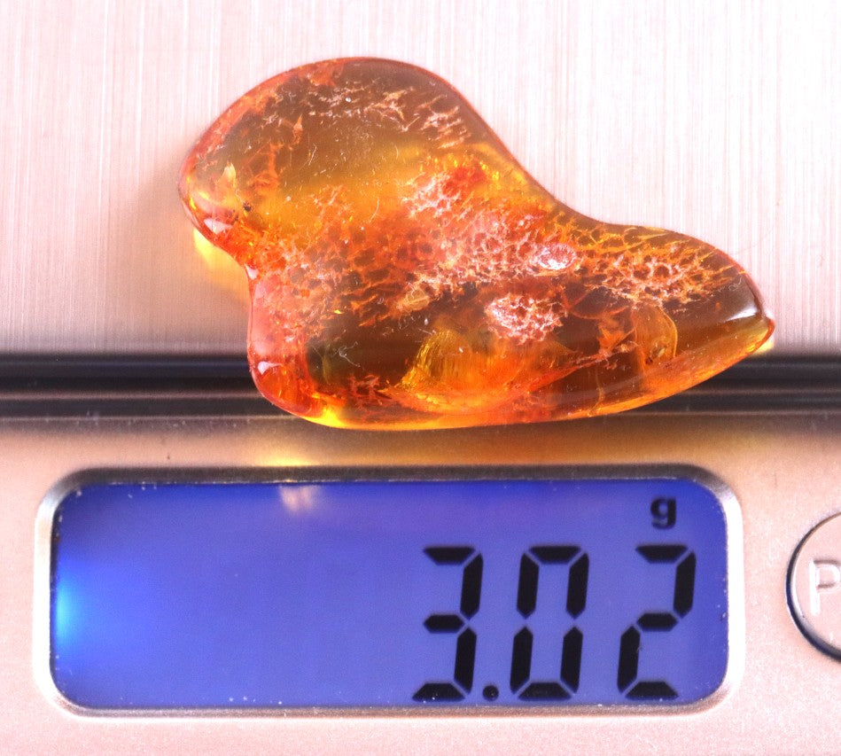 Unique Small Piece Of Amber With 10 X Insects