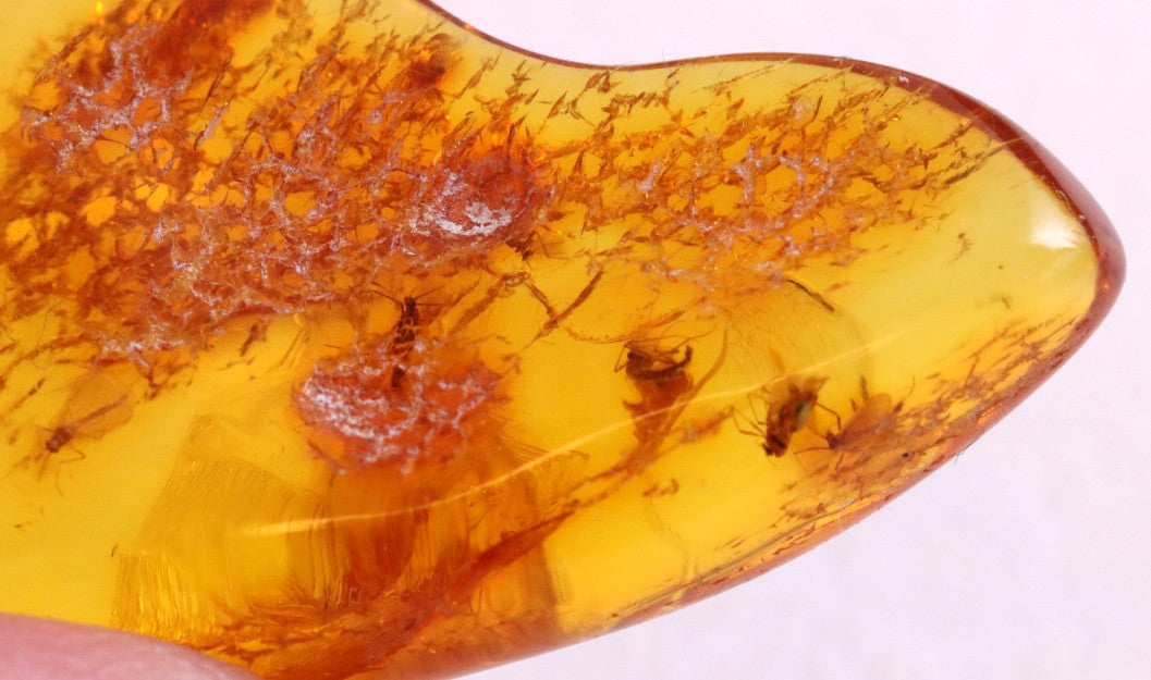 Unique Small Piece Of Amber With 10 X Insects